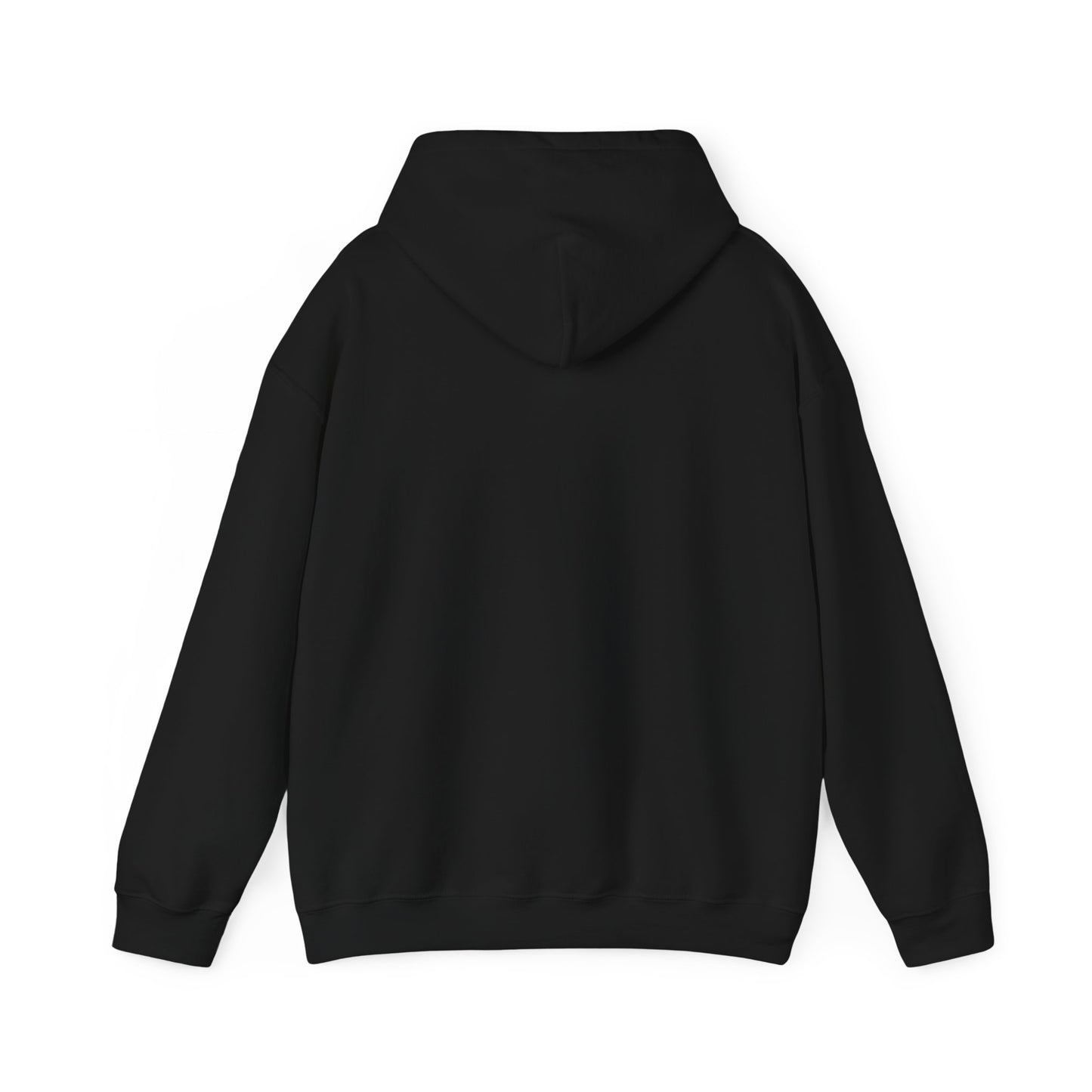 THE VISION HOODIE