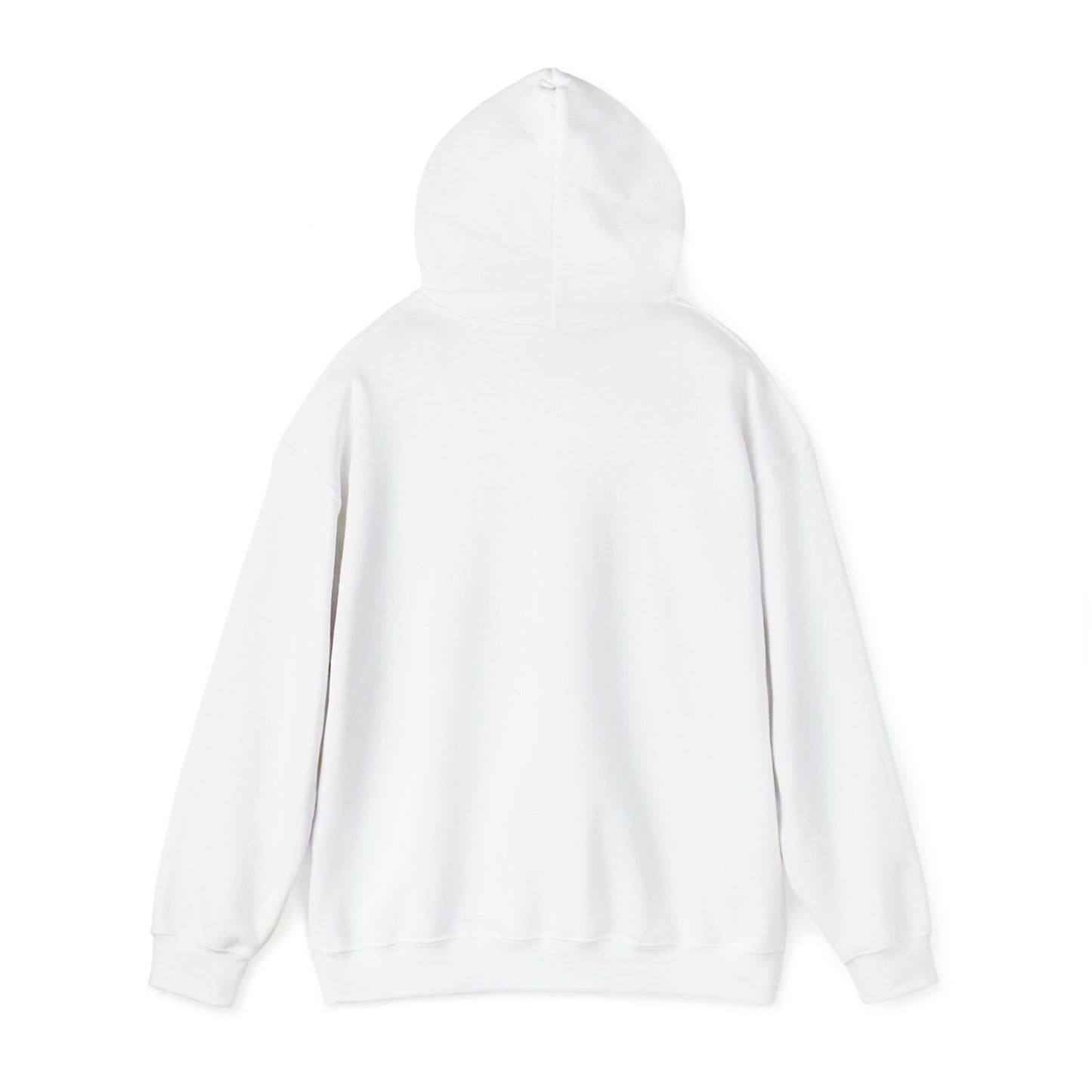 TAKE A RISK HOODIE