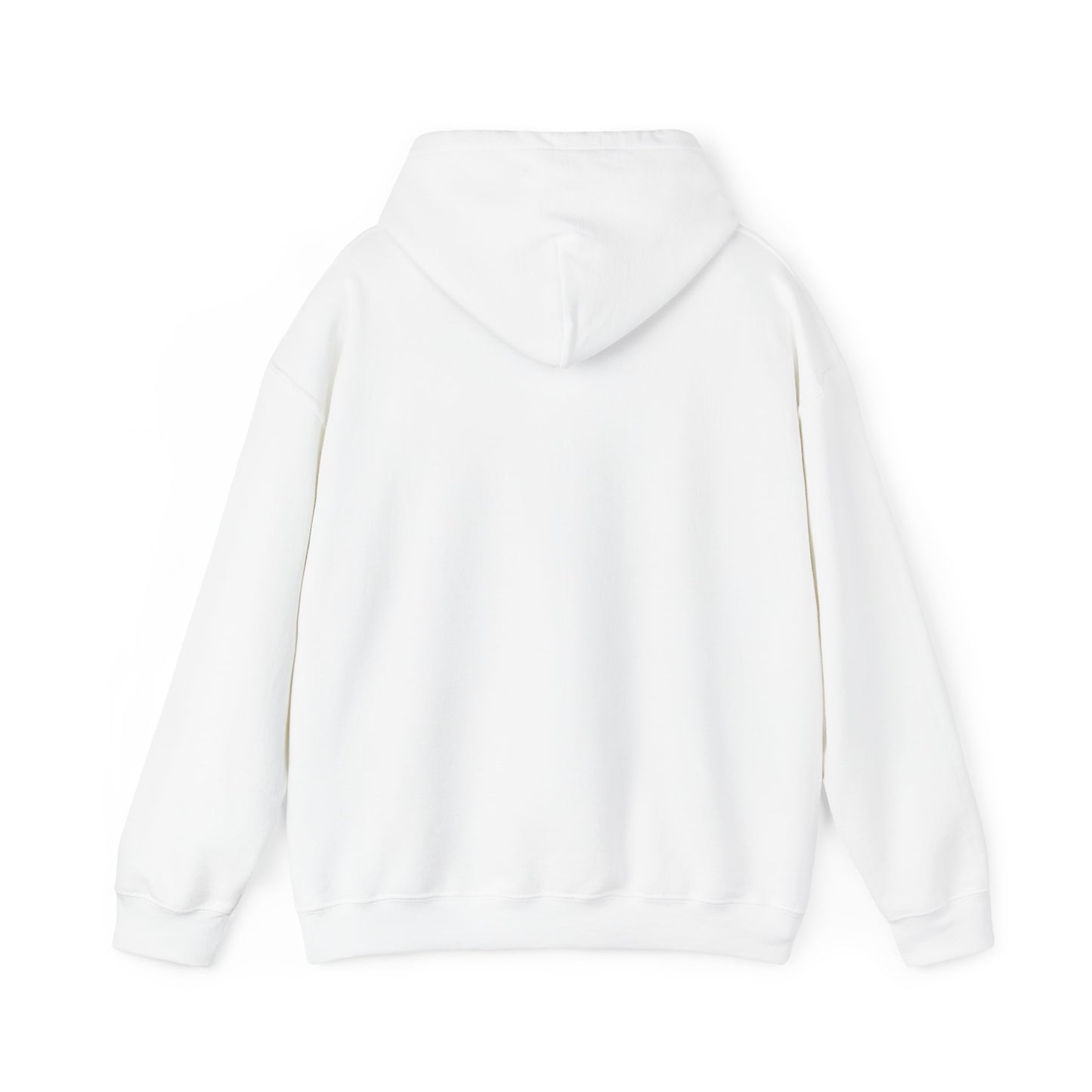 TAKE A RISK HOODIE